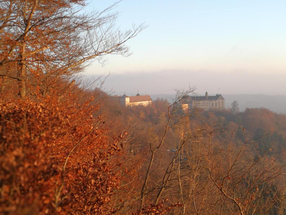 Ferienwohnung Am Bodensee Heiligenborn الغرفة الصورة